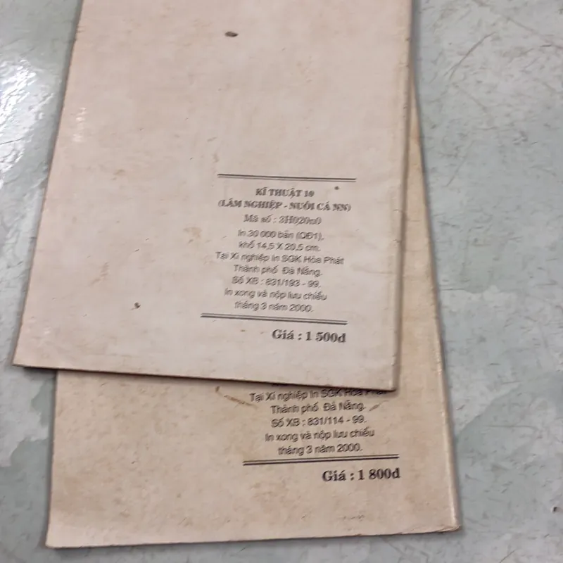 Kĩ thuật - 2000s 1005416