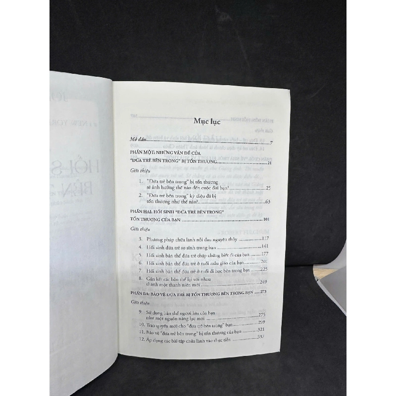 [Phiên Chợ Sách Cũ] Hồi Sinh Đứa Trẻ Bên Trong Bạn, 2025 - John Bradshaw H1809 SBM 924694