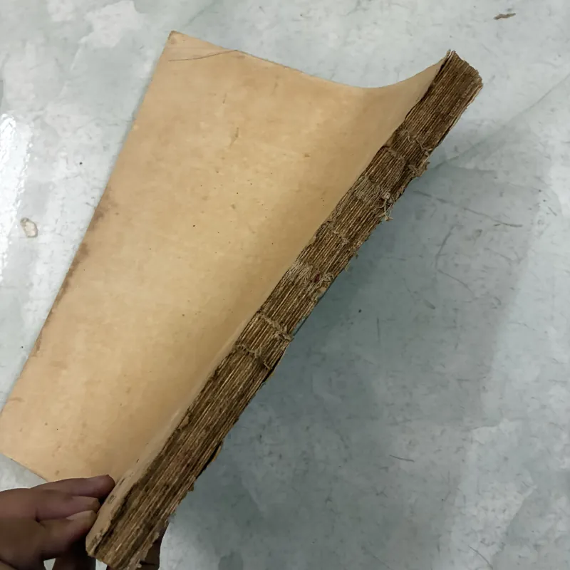 Bệnh học ngoại (Đại cương) - 1987s 1013287