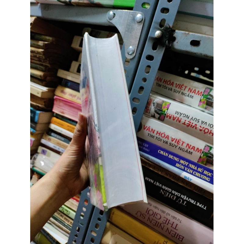 Văn hoá VN tìm tòi và suy ngẫm 443299