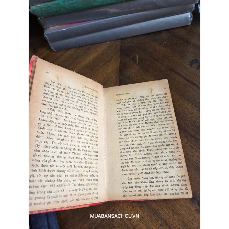 Sói đồng hoang - Hermann Hess 796895