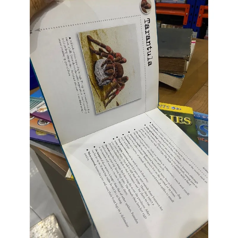 Bulletpoints about Animals 563589