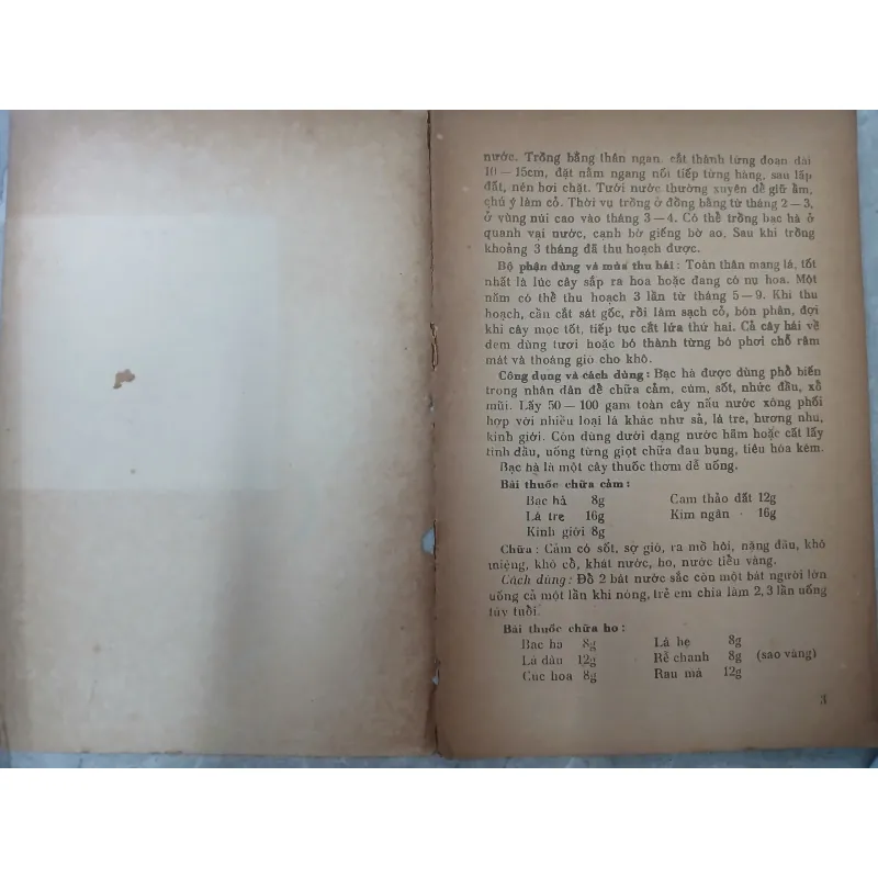 CÂY THUỐC GIA ĐÌNH 588890