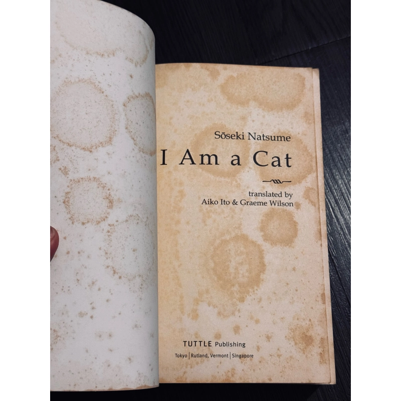 I am a cat - Natsume Soseki 471556