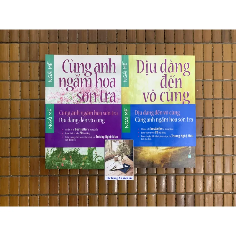 Cùng anh ngắm hoa sơn tra, Dịu dàng đến vô cùng - Ngải Mễ 454926