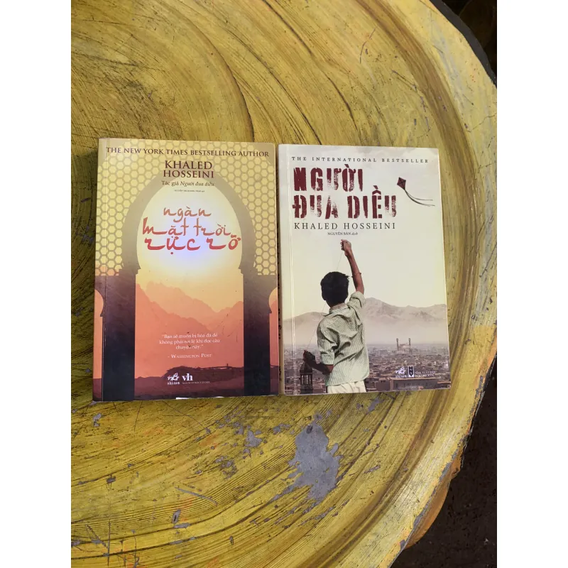 COMBO NGƯỜI ĐUA DIỀU & NGÀN MẶT TRỜI RỰC RỠ 745813