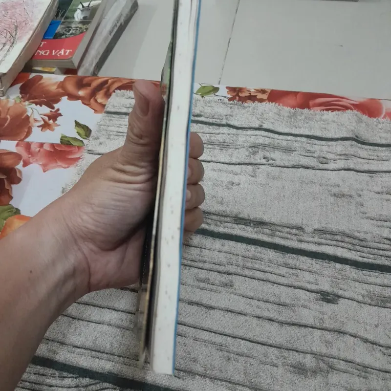 Văn học Rumani: Quán trọ Ancuta. Mihail Sadoveanu 596154