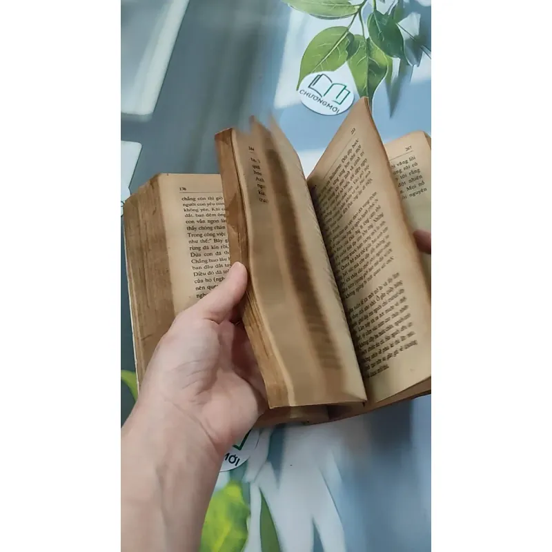 [XƯA] Ông Chủ Ballantra (1990) - Robert Louis Stevenson 776098