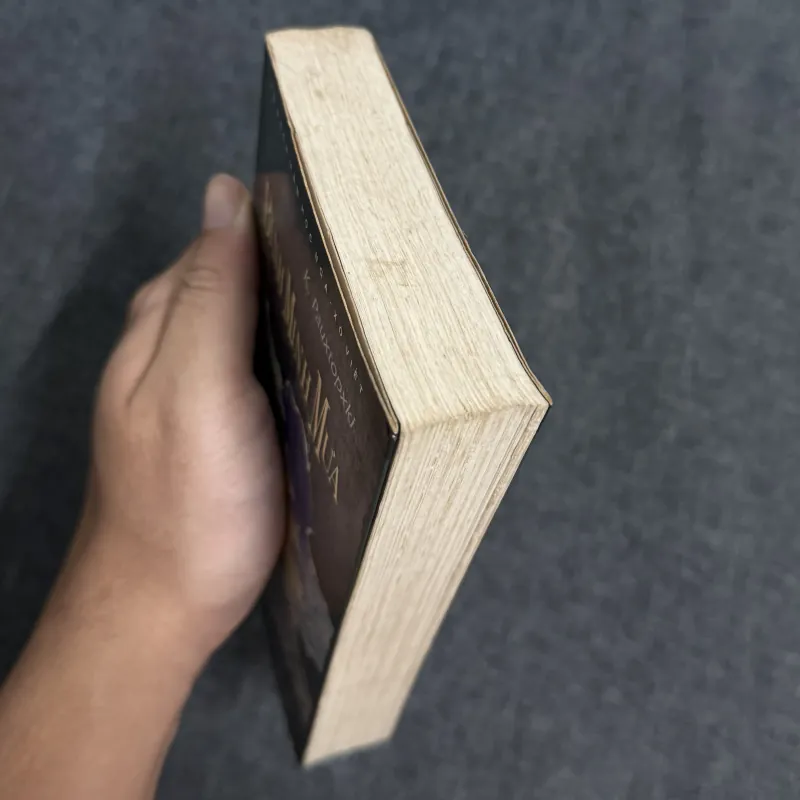 Bình minh mưa - Konstantin Paustovsky 931443