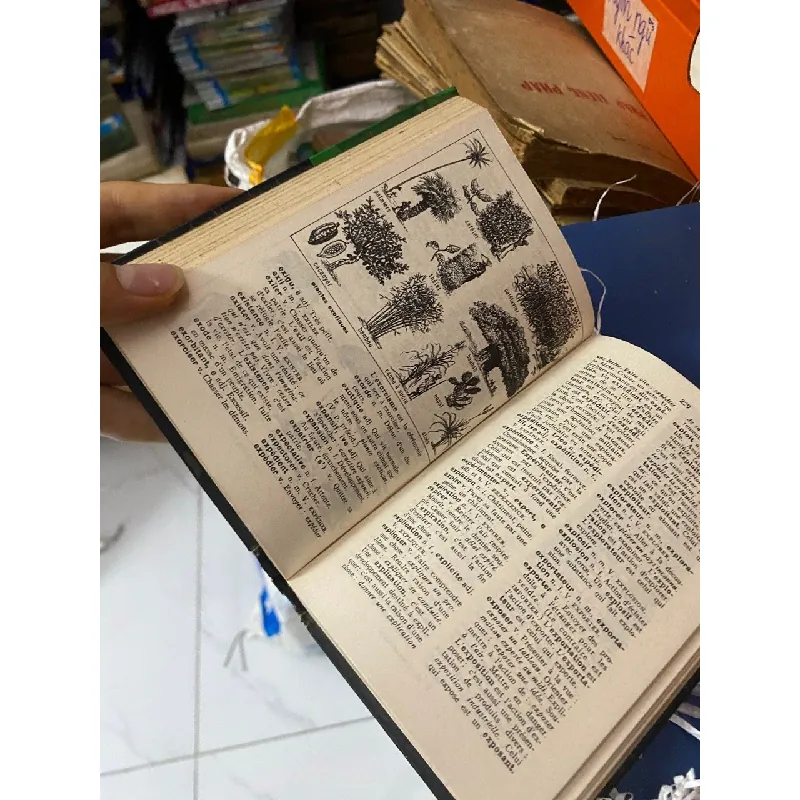 Larousse des débutants 560620