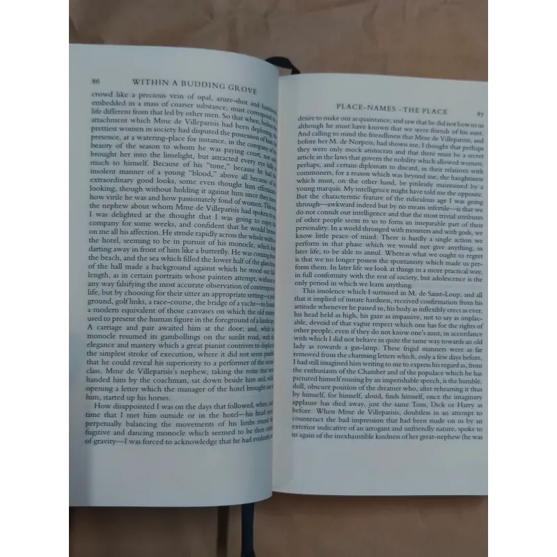 In Search Of Lost Time Volume 2 (Everyman's Library) - Marcel Proust 1004704