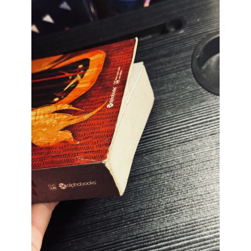 Cô gái mất tích 1025578