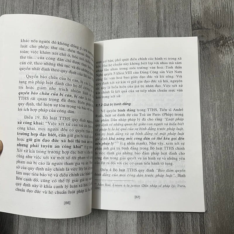 Tố tụng hình sự từ góc nhìn văn hoá. 6a4 737096