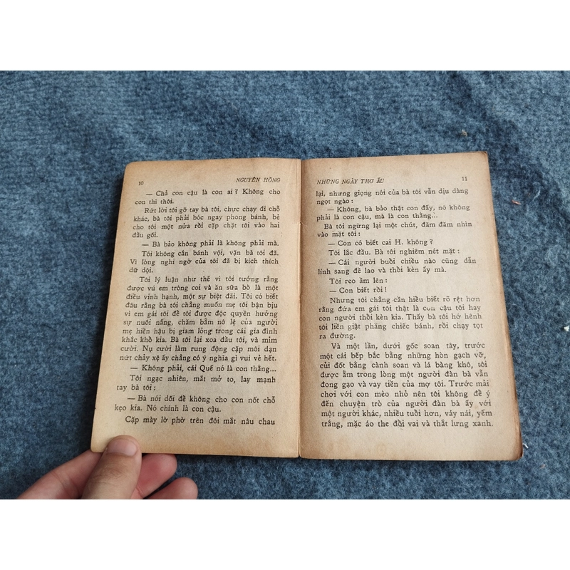 NHỮNG NGÀY THƠ ẤU - NGUYÊN HỒNG 478551