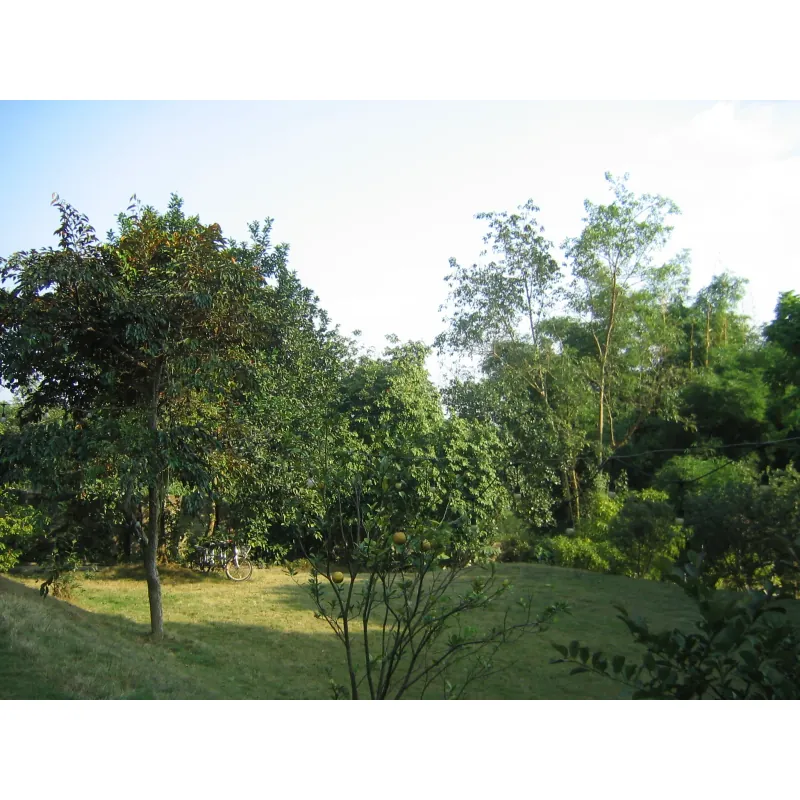 CANON IXY DIGITAL30(canon zoom lens 5.4 - 10.8 mm | 1:2.8 - 3.9 | 3.2 Mega pixels) 927093