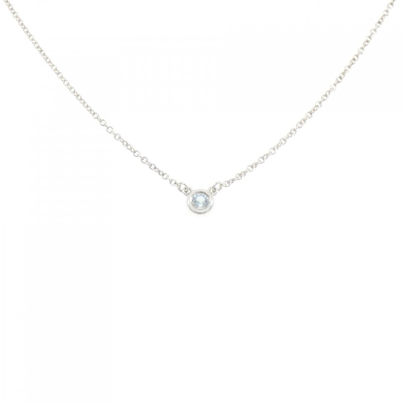 Dây chuyền Tiffany By The Yard - Hàng hiệu Authentic 841892