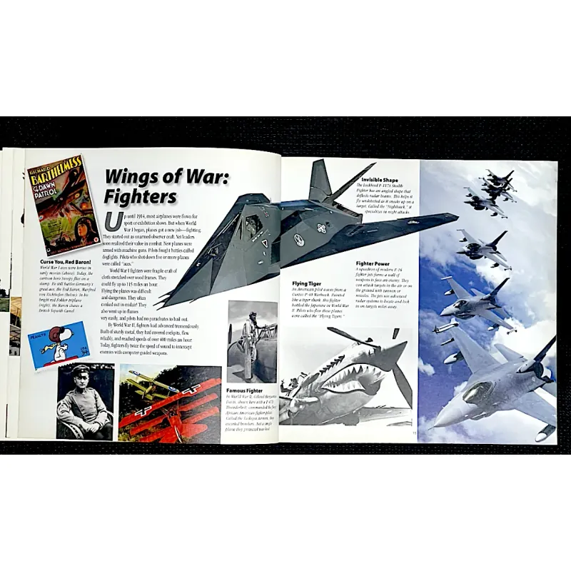 THE STORY OF FLIGHT -JUDITH E.RINARD 1030615