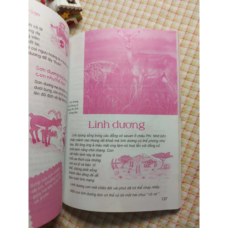 ĐỘNG VẬT • THẾ GIỚI DIỆU KỲ 782629