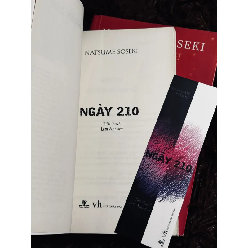 Combo 2c Natsume Soseki 1017667