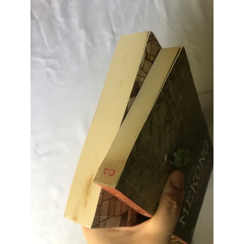 Mekong Phù Sa Phiêu Bạt - Khải Đơn & Đầm Lầy - David Biggs 1007165