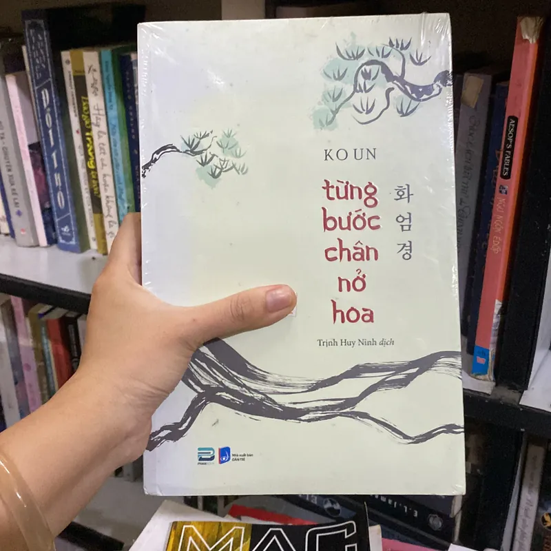 Từng bước hoa sen nở  567904