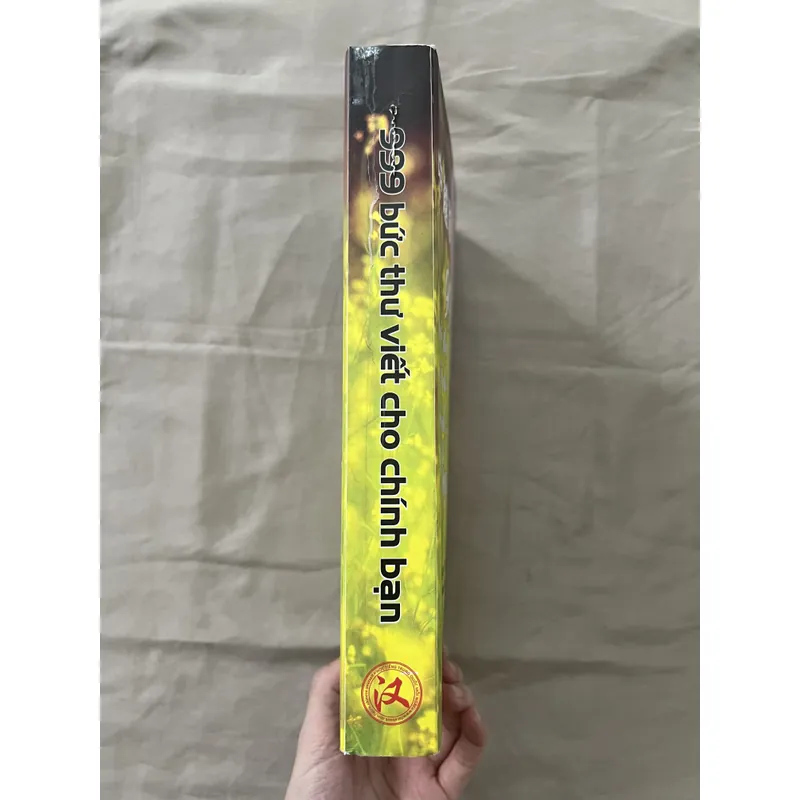 999 BỨC THƯ VIẾT CHO CHÍNH BẠN 596055