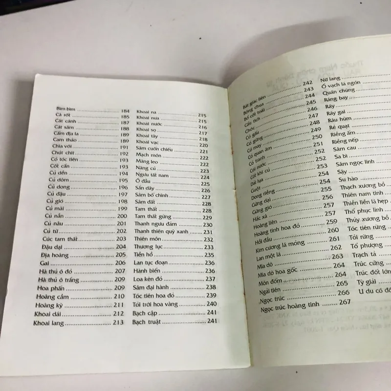 THUỐC NAM CHỮA BỆNH TỪ RAU - HOA - CỦ - QUẢ - RAU HOA CỦ LÀM THUỐC 603492