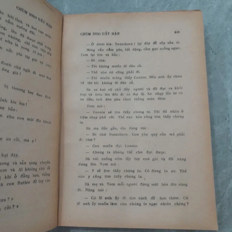 CHÙM NHO UẤT HẬN - VÕ LANG 783806