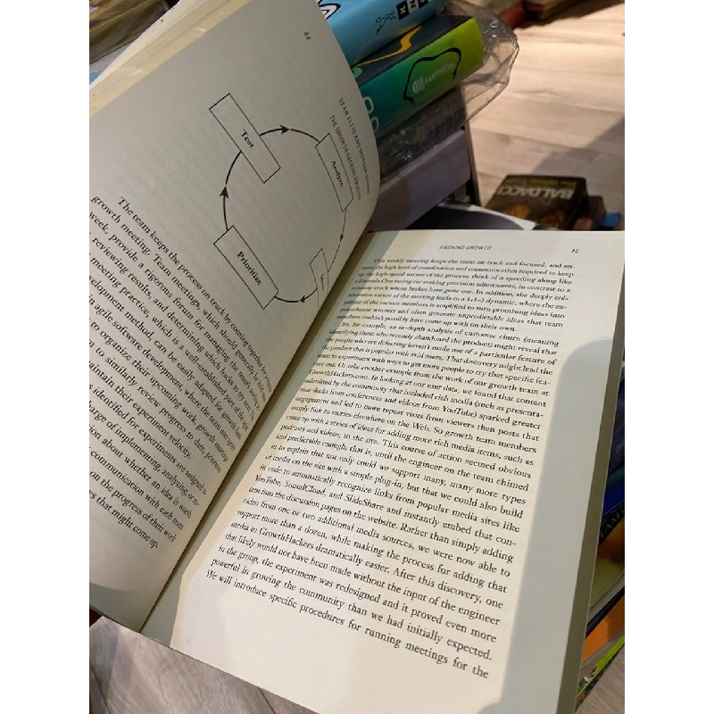 Hacking Growth - Sean Ellis 1028780