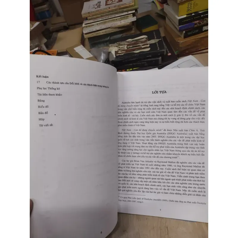 Sách: Việt Nam - con hổ đang chuyển mình - TG: Brian Van Arkadie & Raymond Mallon 932406