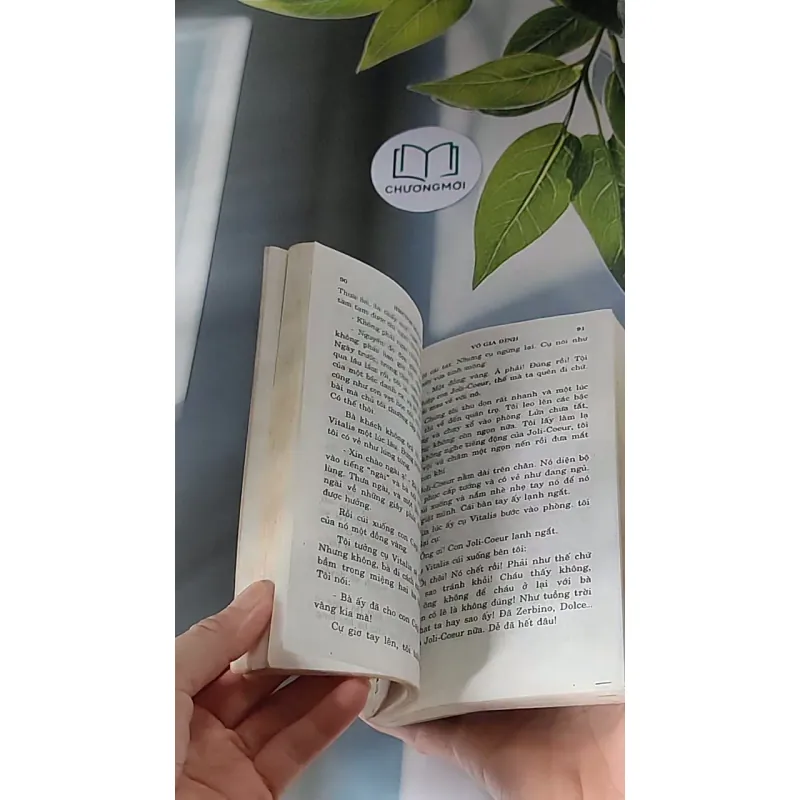 Vô Gia Đình (2001) - Hector Malot 607676