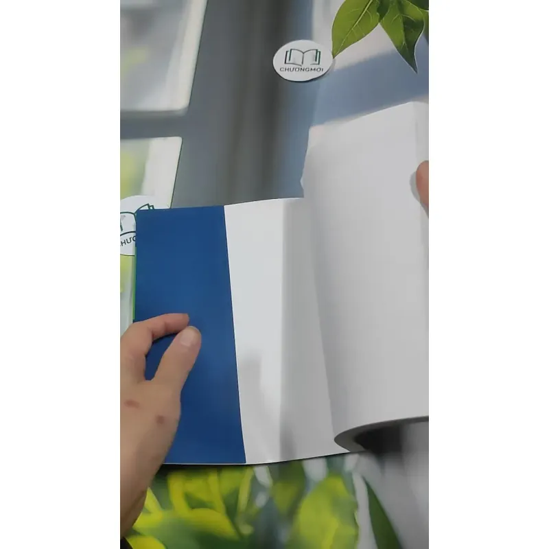 Tìm Hiểu Về Quyền Được Giáo Dục Như Quyền Cơ Bản Của Con Người - PGS. TS. Mai Hồng Quỳ 727347