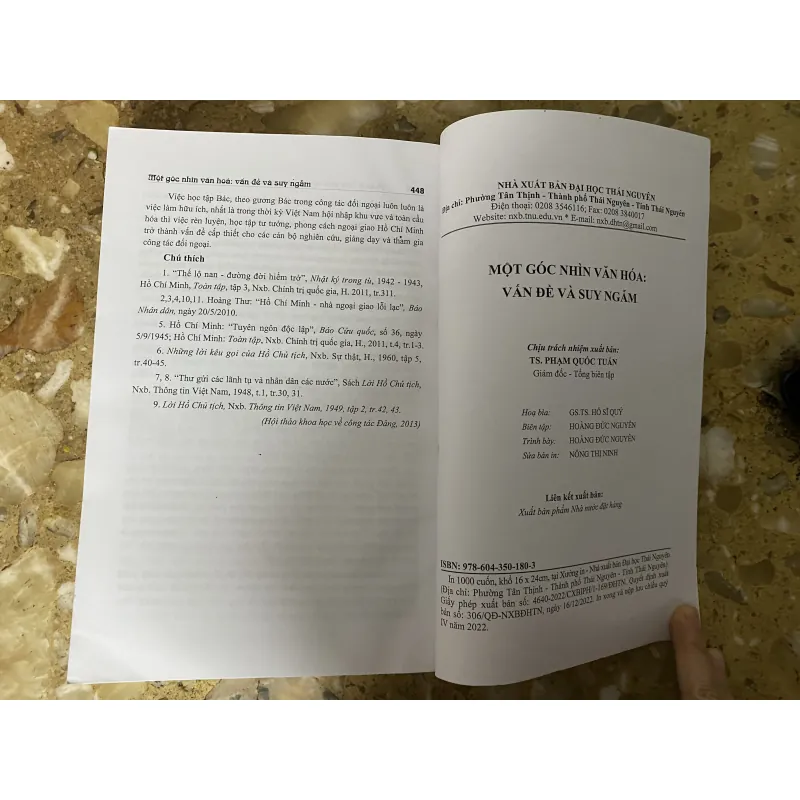 Một góc nhìn văn hóa: Vấn đề và suy ngẫm 1013597