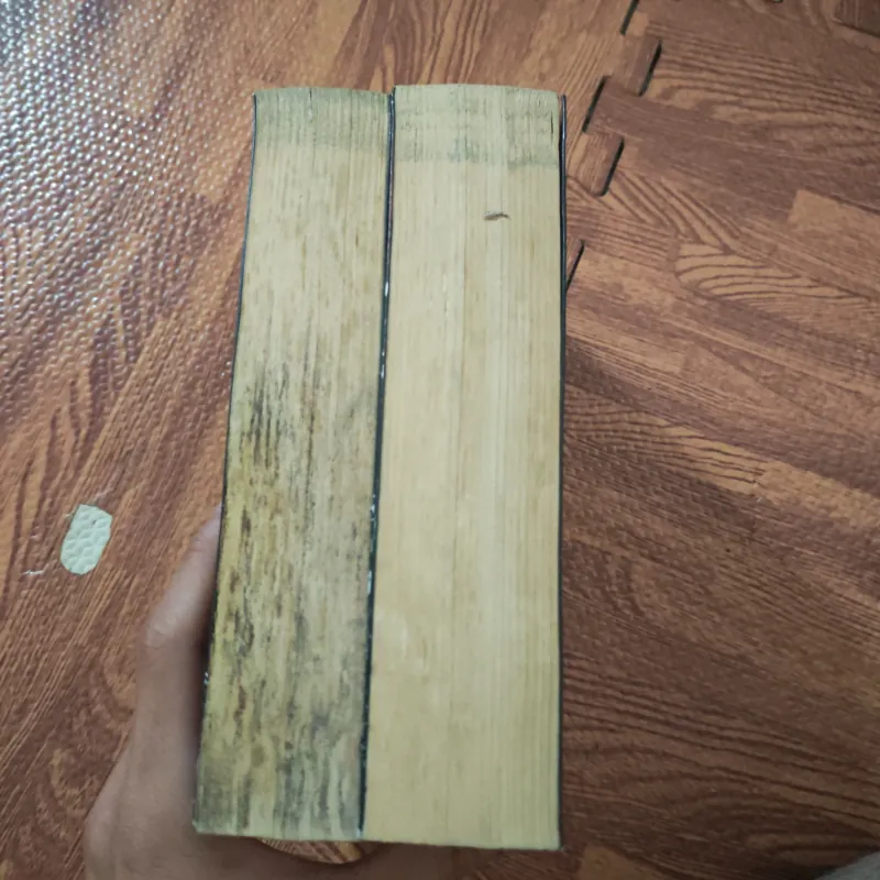 Mê tông chi quốc tập 1-4 968793