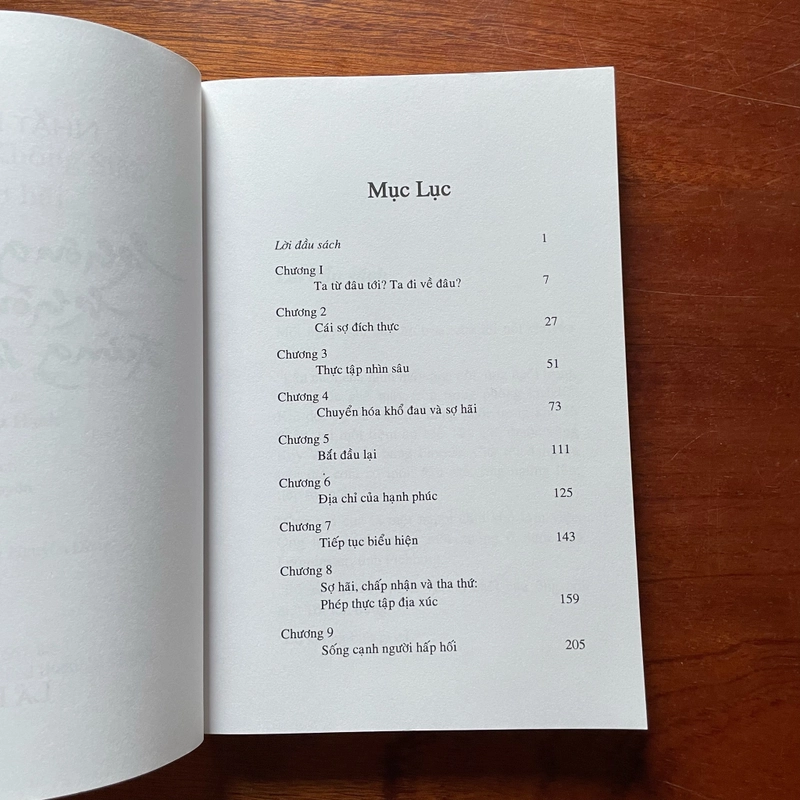 II Tựa sách: Không Diệt Không Sinh Đừng Sợ Hãi - Nhất Hạnh - Lá Bối - 2004 475970