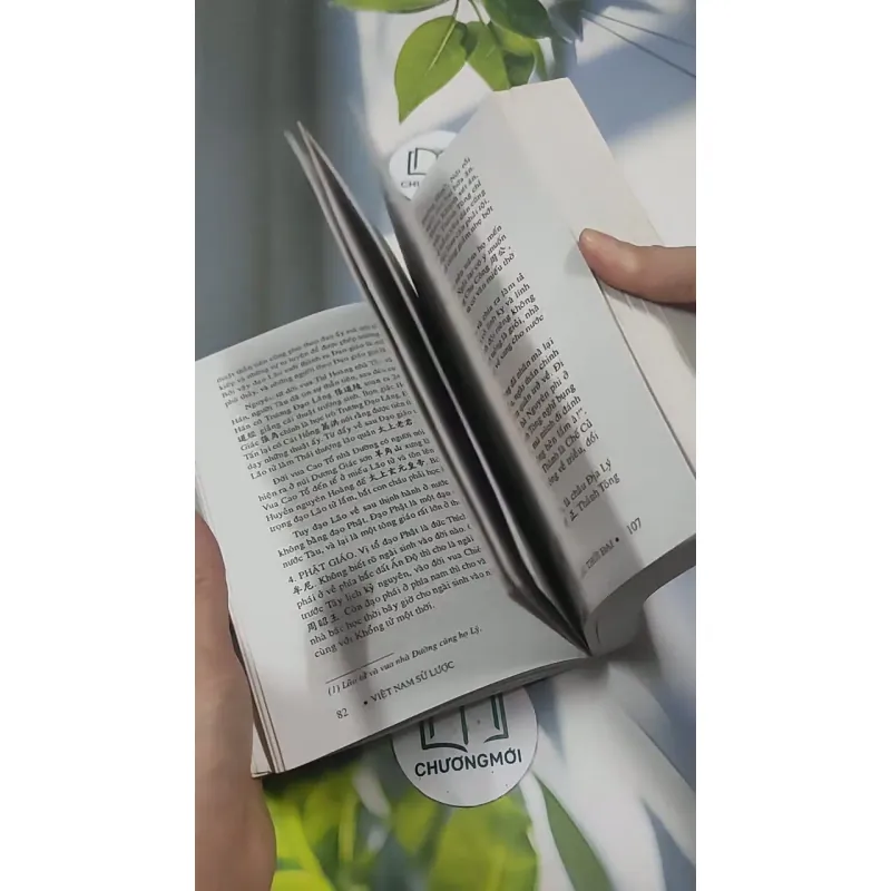 Việt Nam Sử Lược 715609