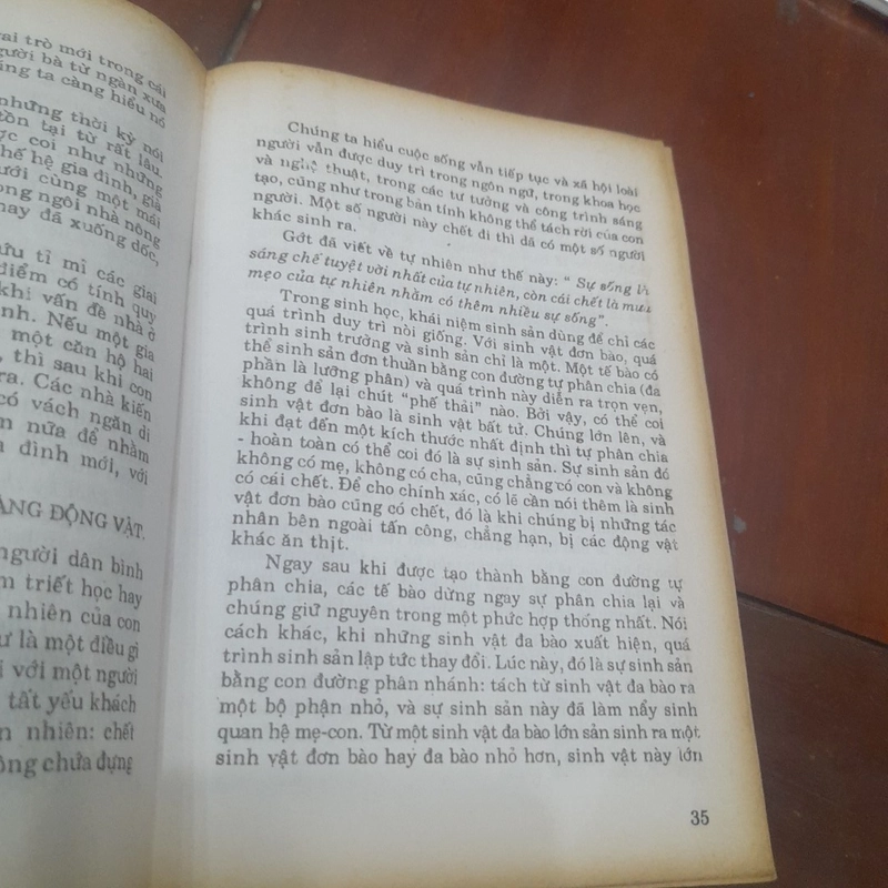 Giáo sư RUDOLF NEUBERT - Sách mới về QUAN HỆ VỢ CHỒNG 519396