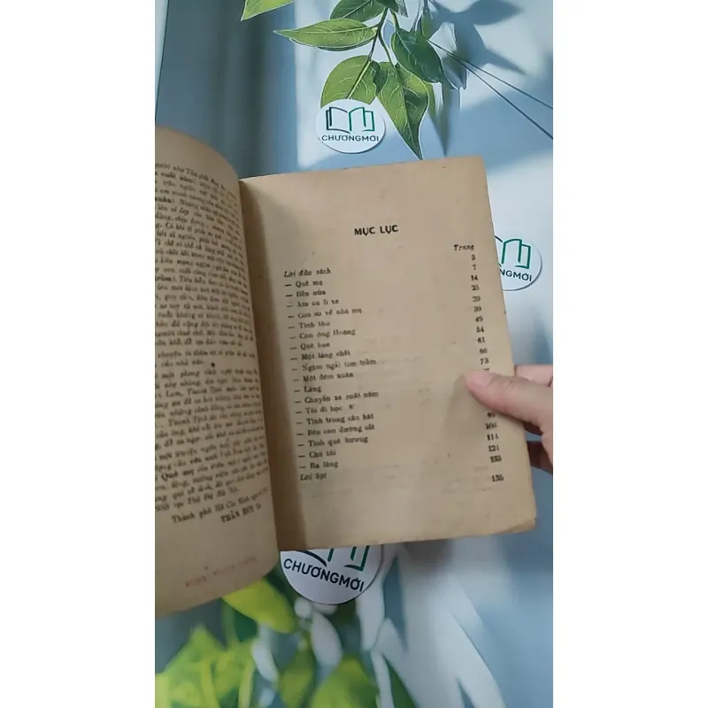 [XƯA] Quê Mẹ (1989) - Thanh Tịnh 775985