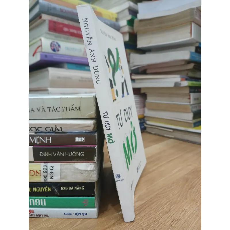 Tư duy mở — Nguyễn Anh Dũng 589397
