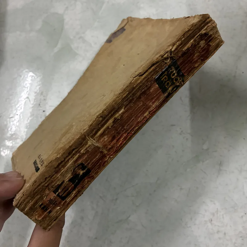 Ruồi trâu - 198x 1025161