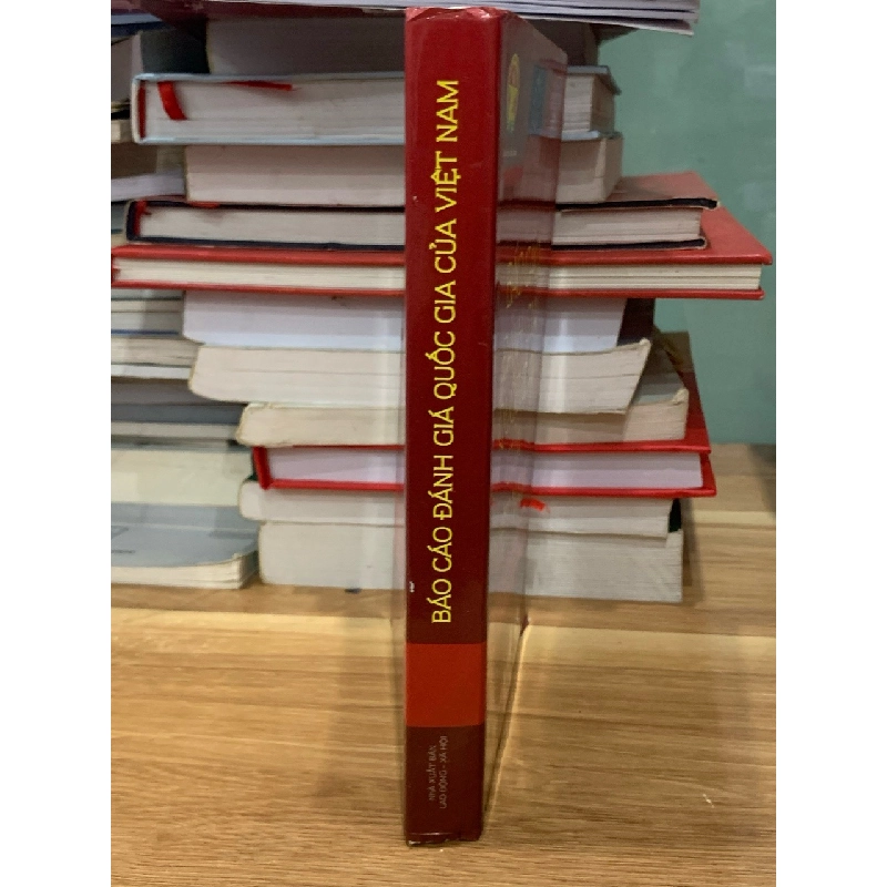 Báo cáo đánh giá quốc gia của Việt Nam-Thanh tra chính phủ 728017