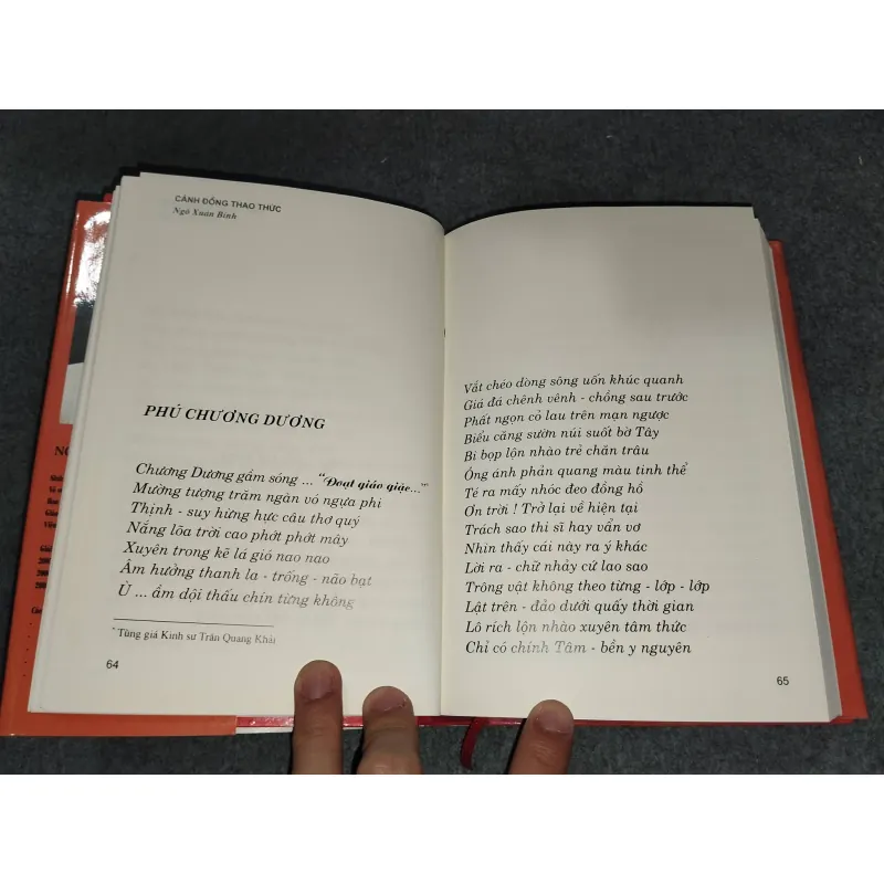 CÁNH ĐỒNG THAO THỨC - NGÔ XUÂN BÍNH 729325