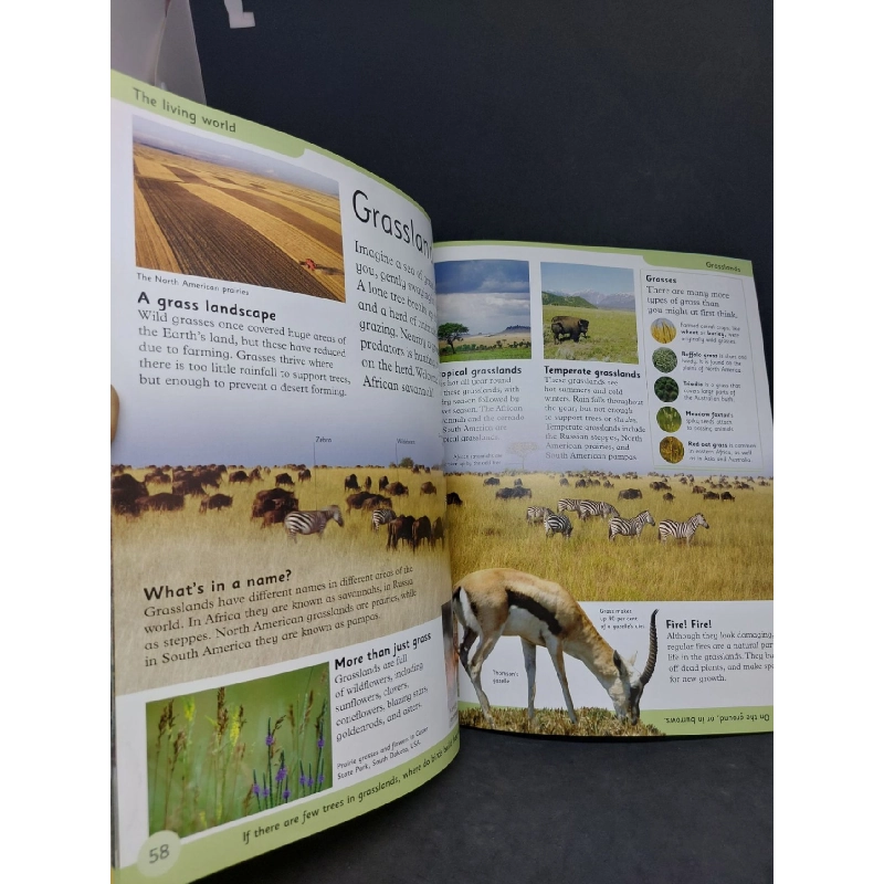 First earth Encyclopedia mới 90% sách in màu HCM1007 911978