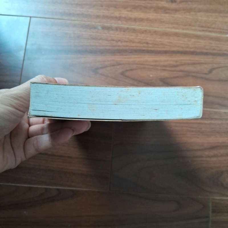 Hận tình và tham vọng 506008