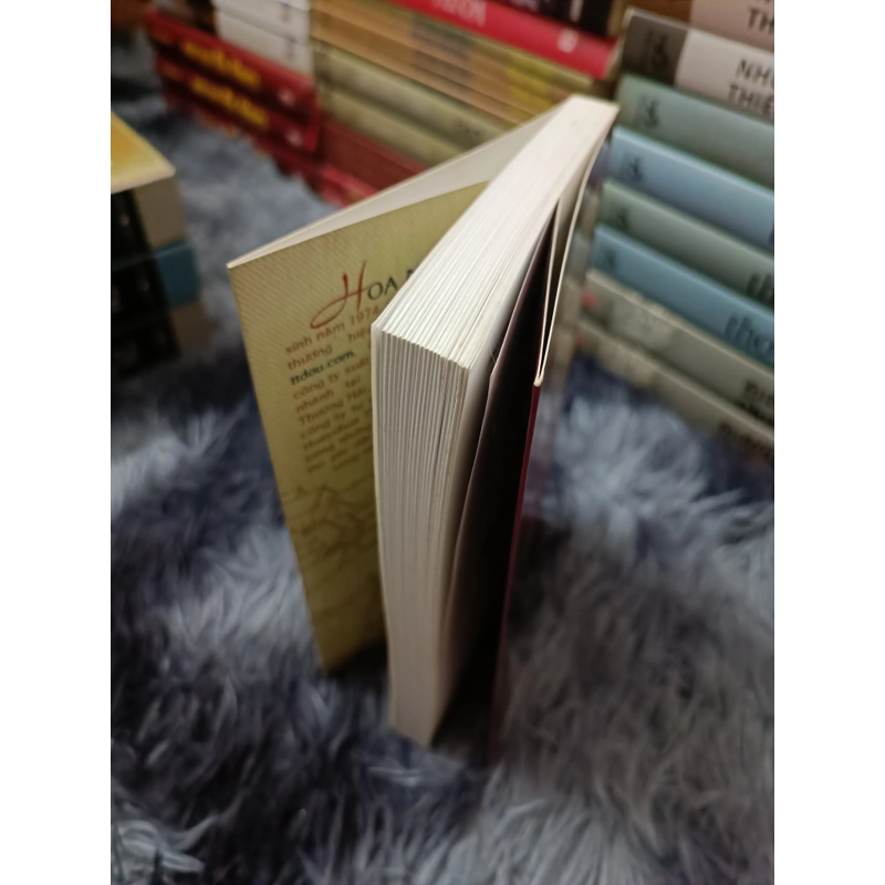 Chuyện tình Lệ Giang (Hoa Nam) 528626