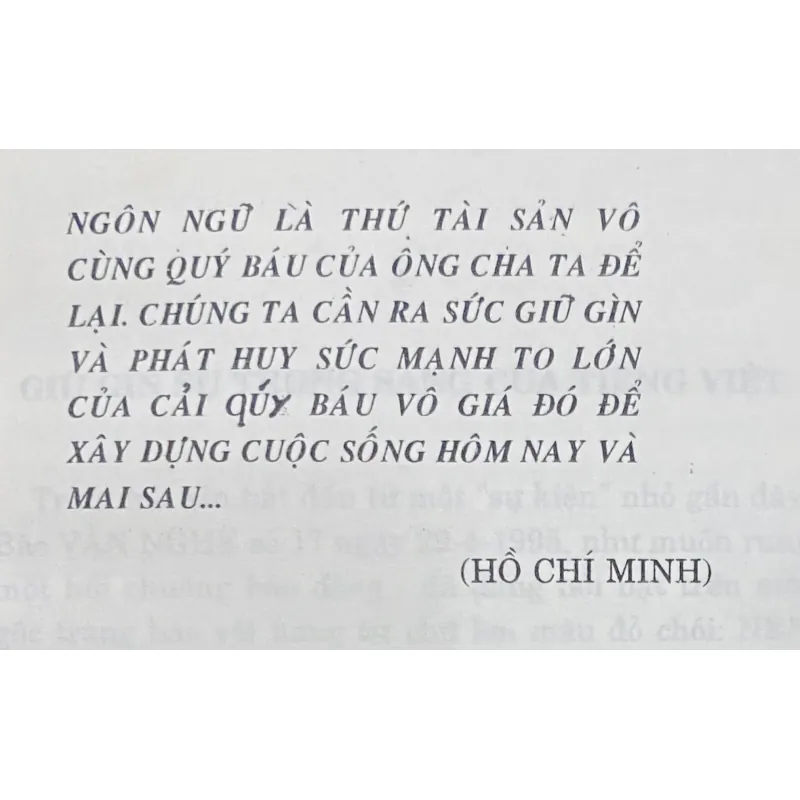 Chuyện vui chữ nghĩa và ngôn ngữ tiếng Việt 1010295