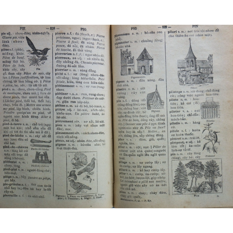 Tự điển Francaise Annamite _ Pháp Việt_ Petrus Ký 101 năm (Gáy sách xưa, hiếm còn sót lại) 547570