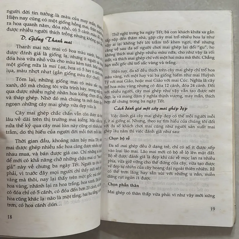 Thú chơi Mai ghép (Mai bonsai) 720792