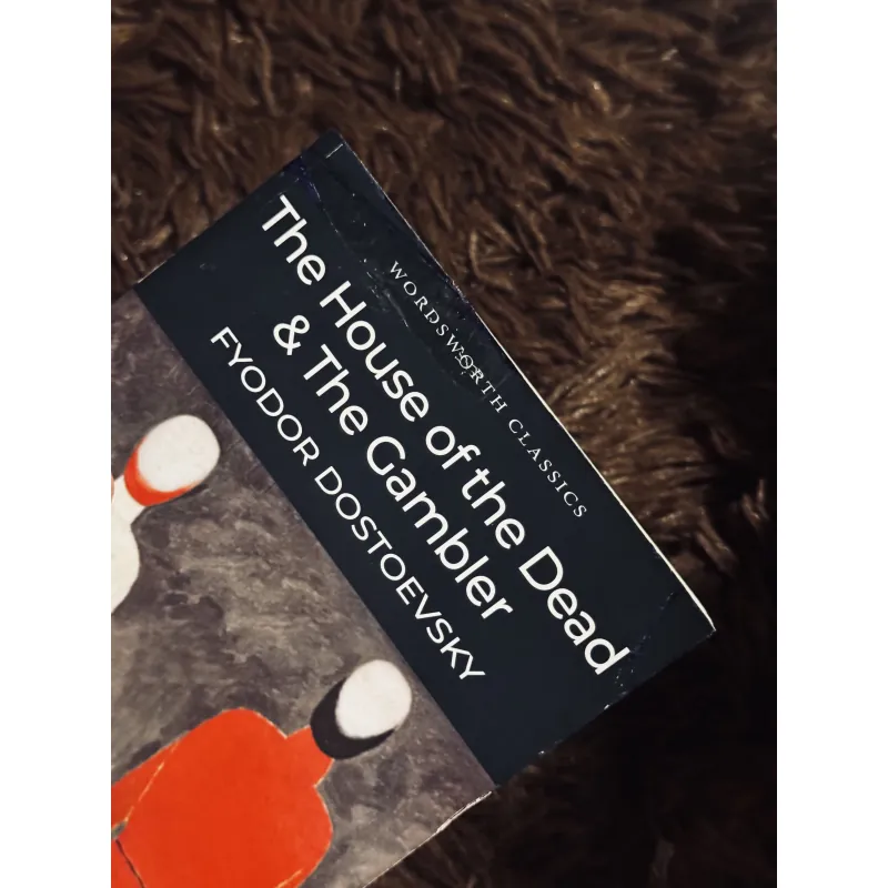The house of the dead & the gambler  997952