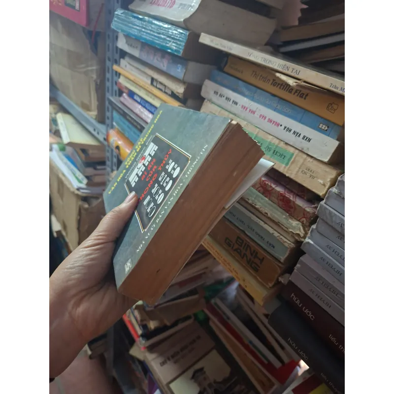 Bí ẩn của phong thủy 1024210